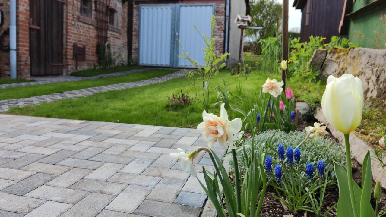Ferienhaus Blaue Blume Mit 11 Kw Ladestation, Kamin, Terrasse, Eingezaeuntem Garten, Sauna, Wlan, Netflix, 2 Hunde Willkommen! Güntersberge Eksteriør bilde