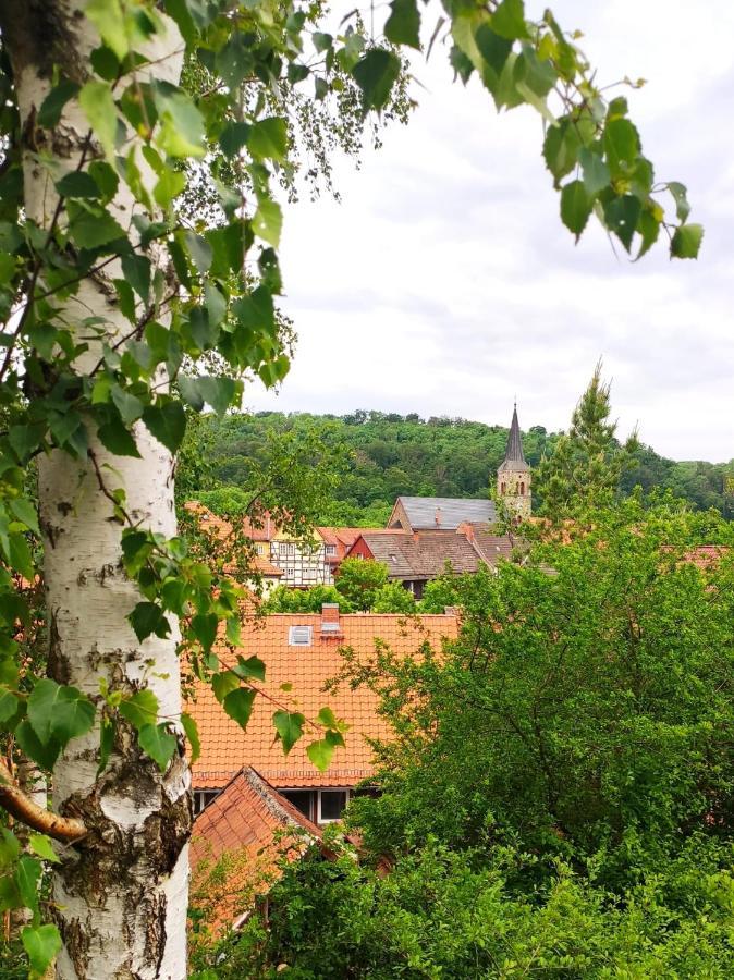 Ferienhaus Blaue Blume Mit 11 Kw Ladestation, Kamin, Terrasse, Eingezaeuntem Garten, Sauna, Wlan, Netflix, 2 Hunde Willkommen! Güntersberge Eksteriør bilde