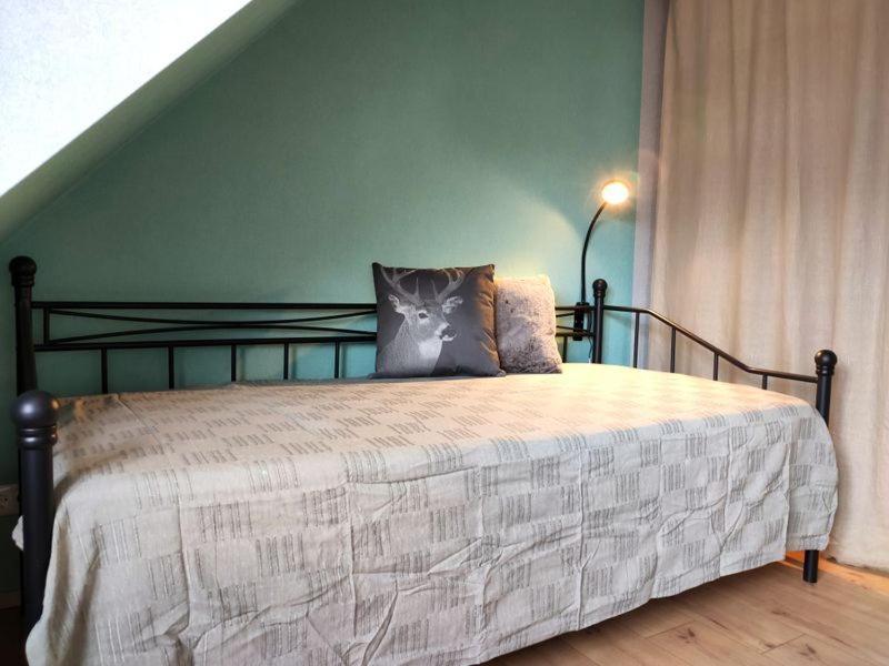 Ferienhaus Blaue Blume Mit 11 Kw Ladestation, Kamin, Terrasse, Eingezaeuntem Garten, Sauna, Wlan, Netflix, 2 Hunde Willkommen! Güntersberge Eksteriør bilde